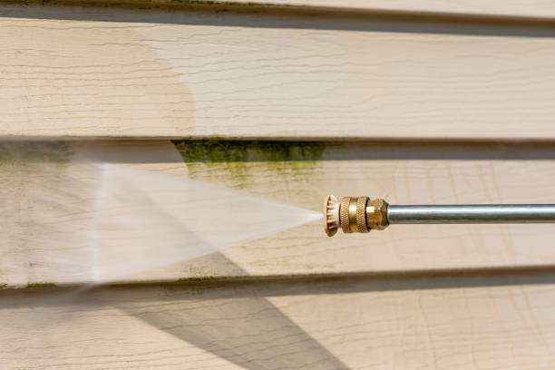 Local Pressure Washing Services in Catalina Foothills, AZ